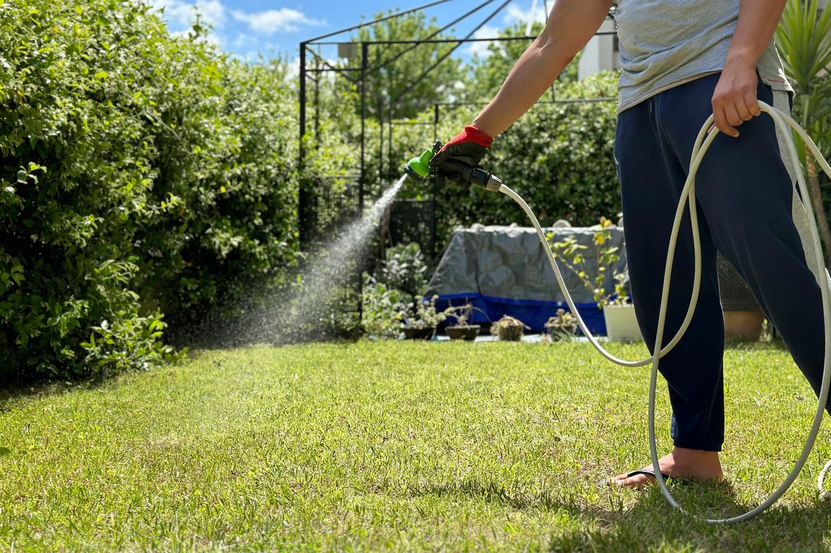 Man watering his garden with a hose in a sunny day.