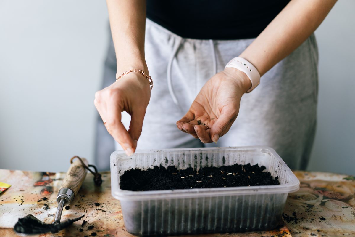 A close-up of hands pouring seeds from a packet into another hand above a soil-filled container, emphasizing home gardening or seed planting techniques.