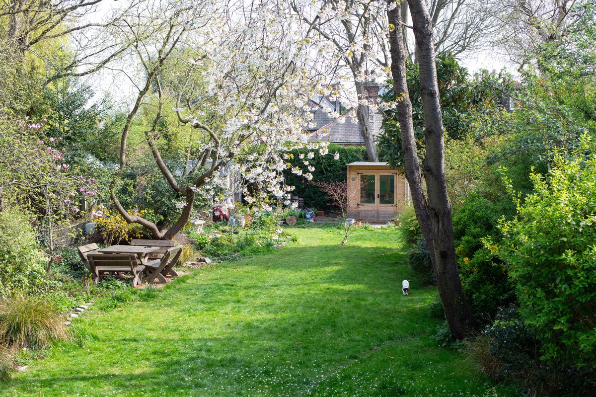 A beautiful garden lawn. 