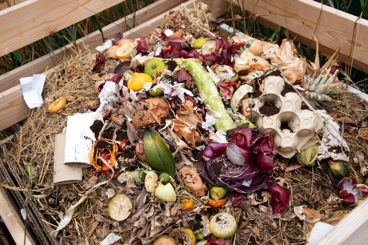 Top of a home made DIY compost box with fresh recycled fod and vegetables