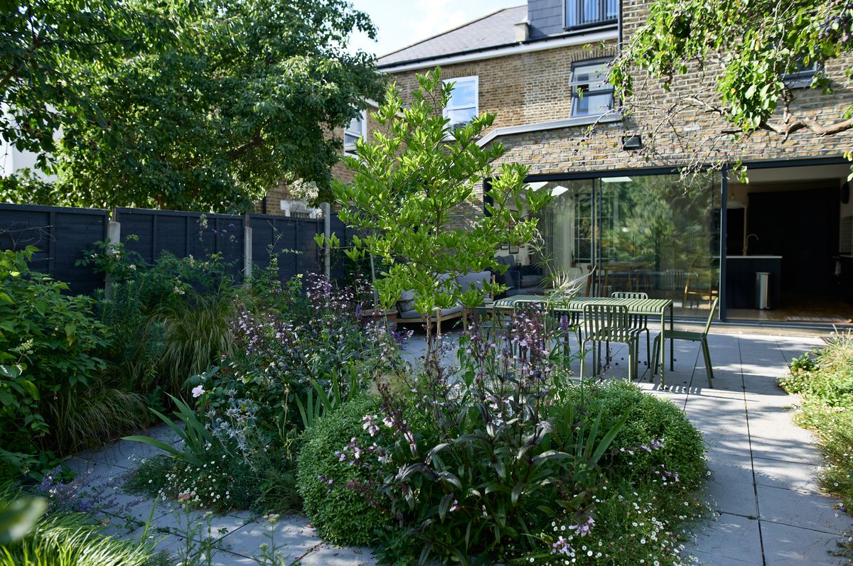 Decorative plants and bushes in back yard of modern townhouse. 