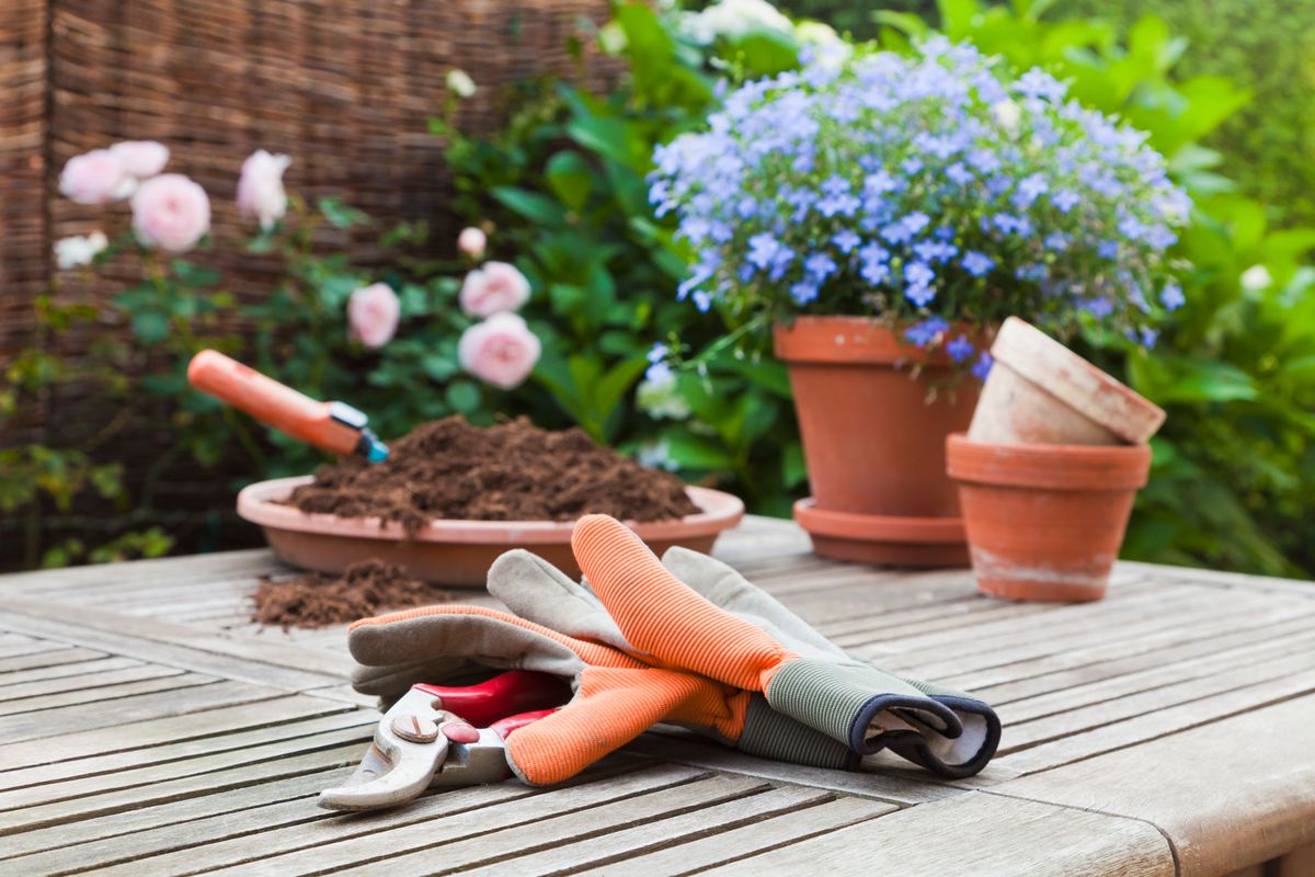 Gardening equipment on wooden table - stock photo