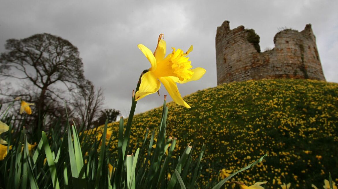 North Wales Live