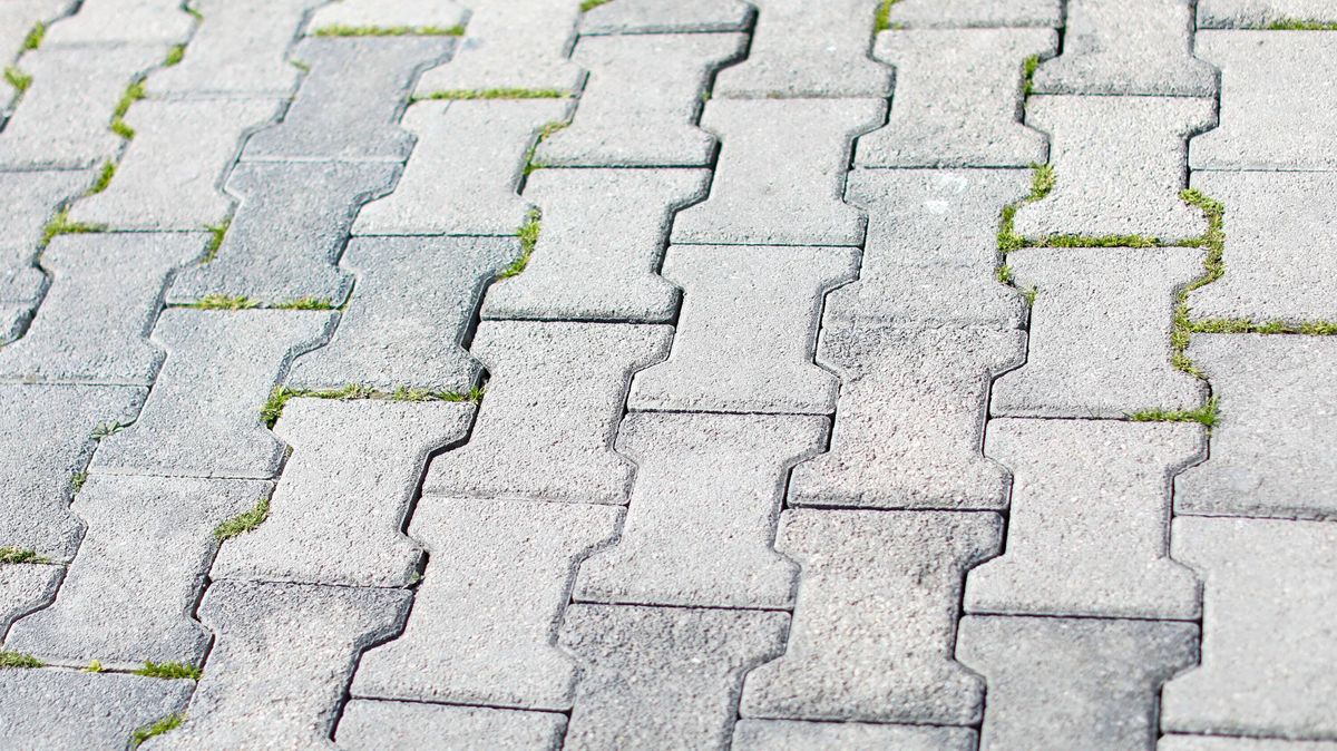 Interlocking gray concrete pavers form a repeating textured walkway with green grass sprouting in joints, durable hardscape background blending urban