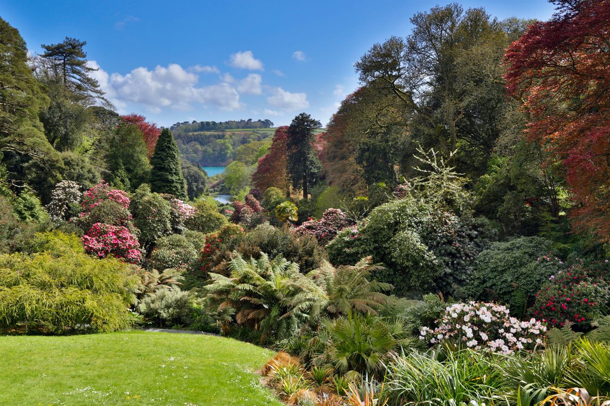 Trebah Garden, Cornwall