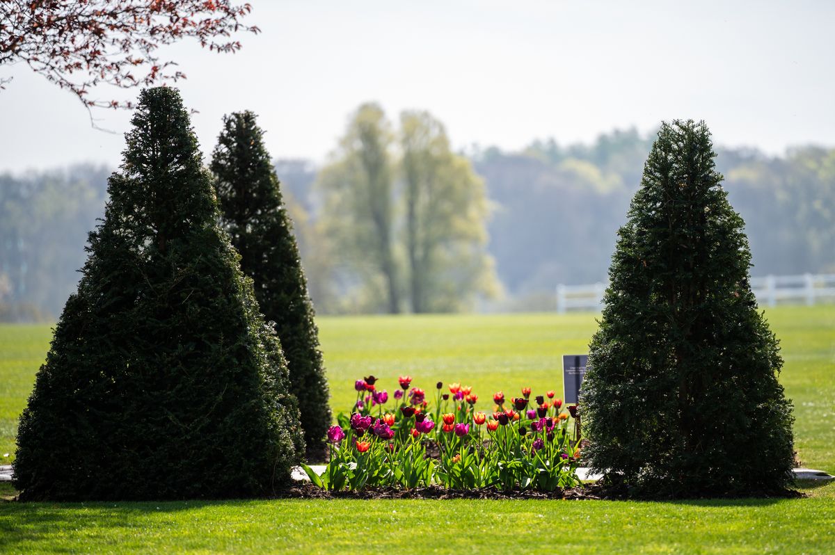 Manicured lawns
