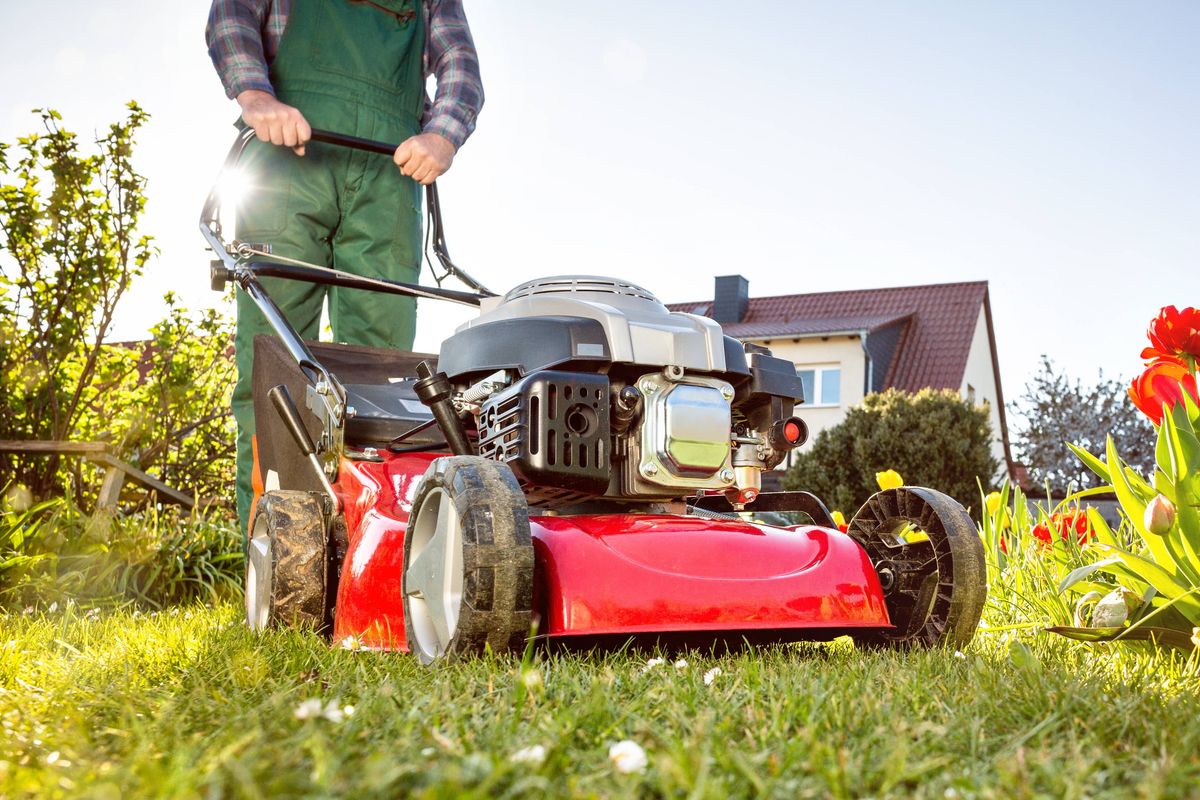 Lawn mower in a garden with green grass and red flowers. Sunny spring time weather.
