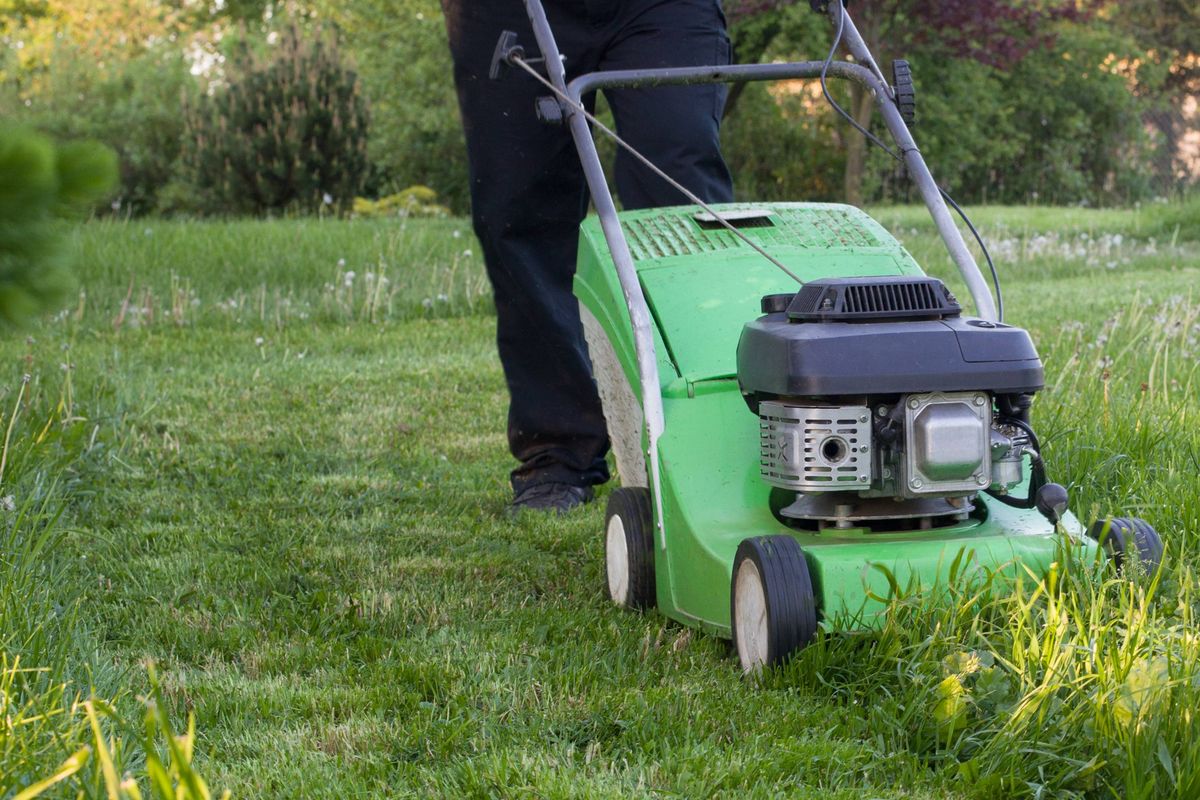 Man pushing a green lawn mower across a lush garden lawn on a sunny day.