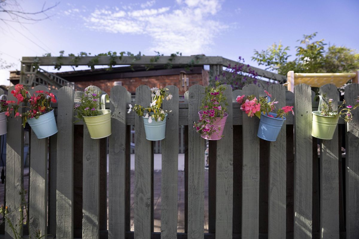 Multi-coloured, decorative, metal plant pots containing flowering plants, hanging from a wooden fence in a back yard on a sunny day in summertime.