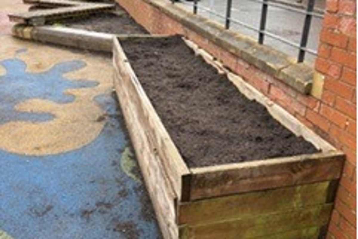 Vandals stole plants from the garden