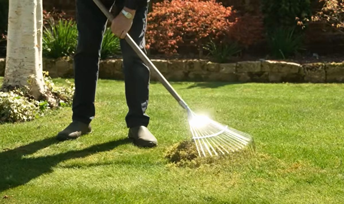 Alan Titchmarsh scarfying lawn to remove moss
