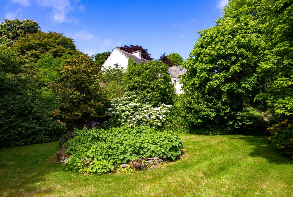 Old Meyen garden
