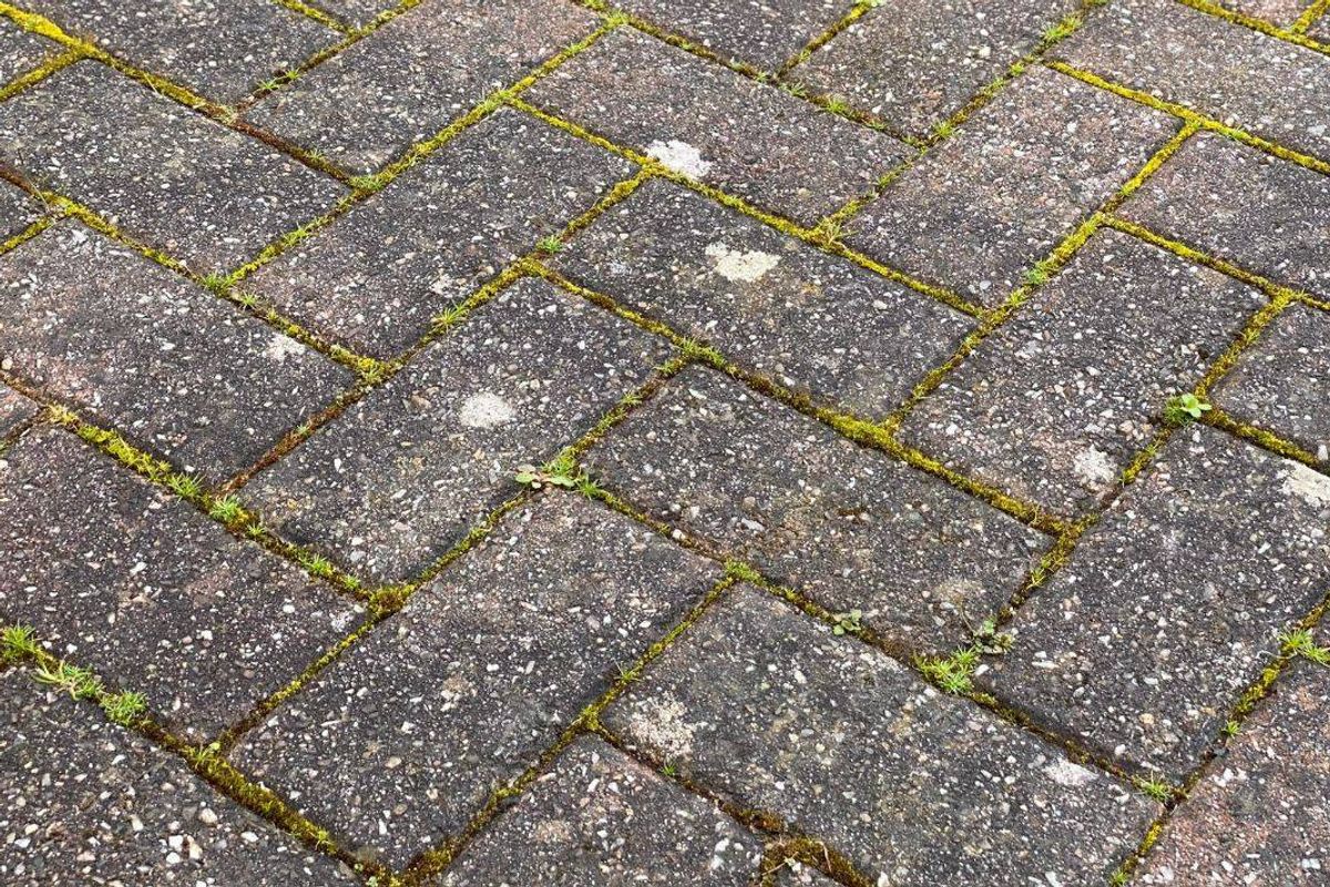 Paving moss and weeds