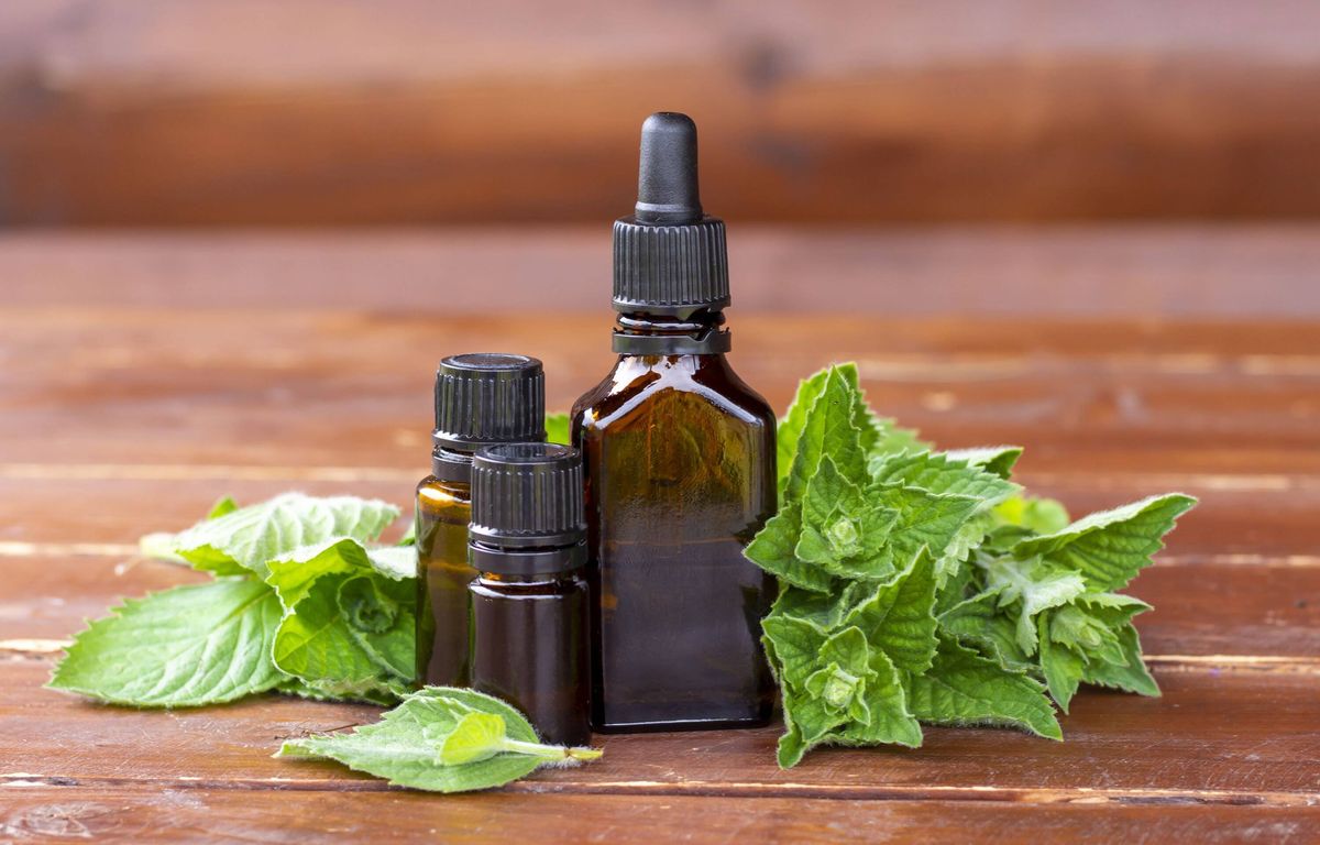Peppermint essential oil. A dark (brown) glass bottle with mint essential oil and fresh mint on wooden table