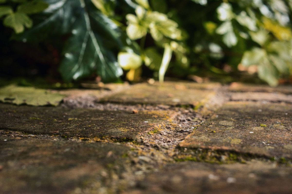 Rough brick path with moss and dirt texture