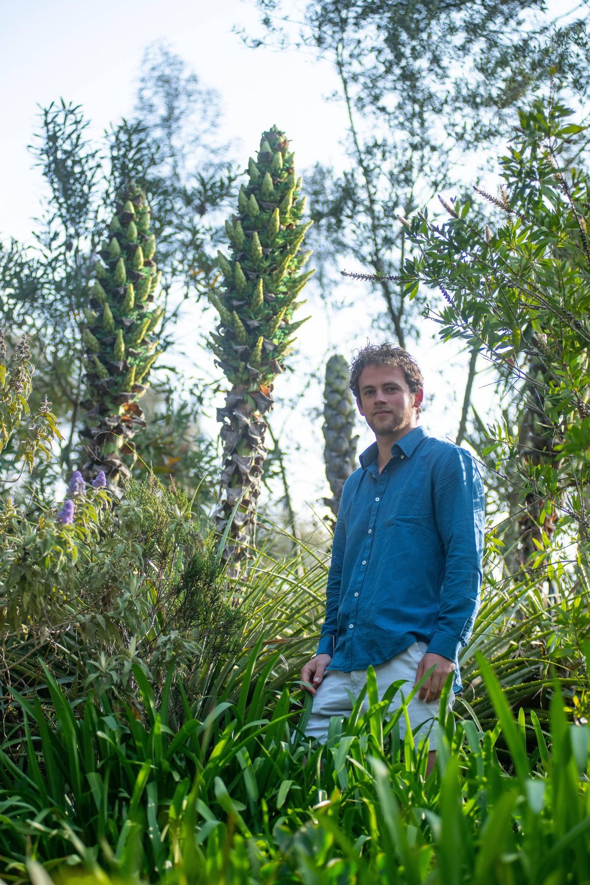 An individual dressed in a blue long-sleeve shirt and white pants is standing amidst a dense and lush vegetation, surrounded by tall trees and various plants.