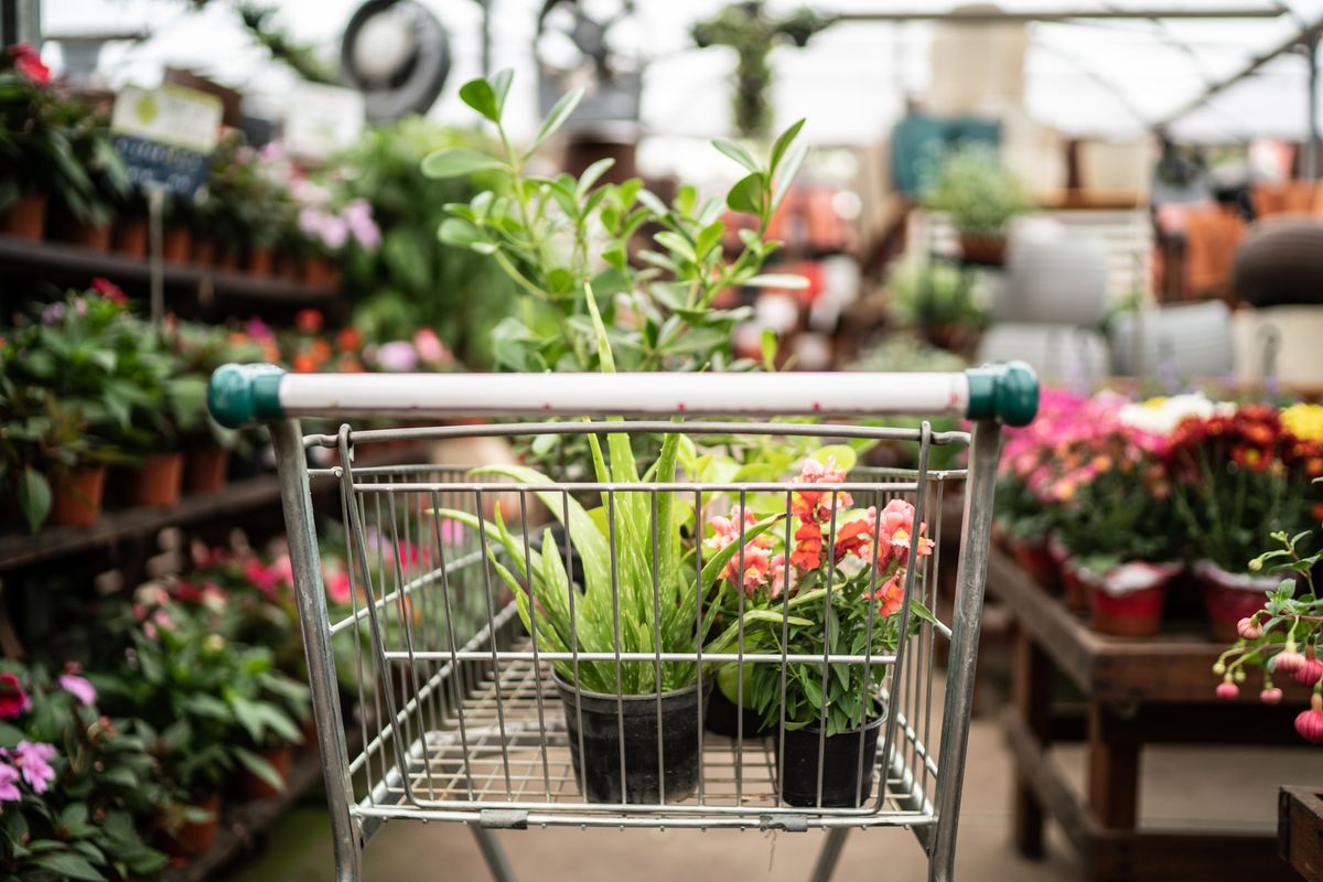 Garden centre