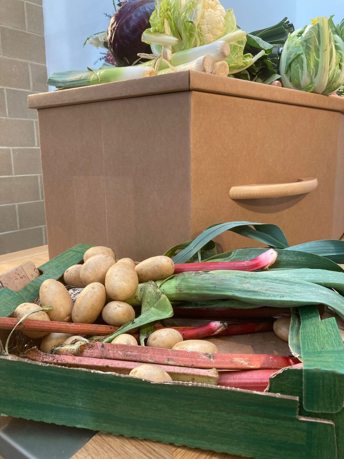 David Cemlyn, who was a passionate advocate for allotments in Bristol. Attendees at his funeral adorned his coffin with vegetables.