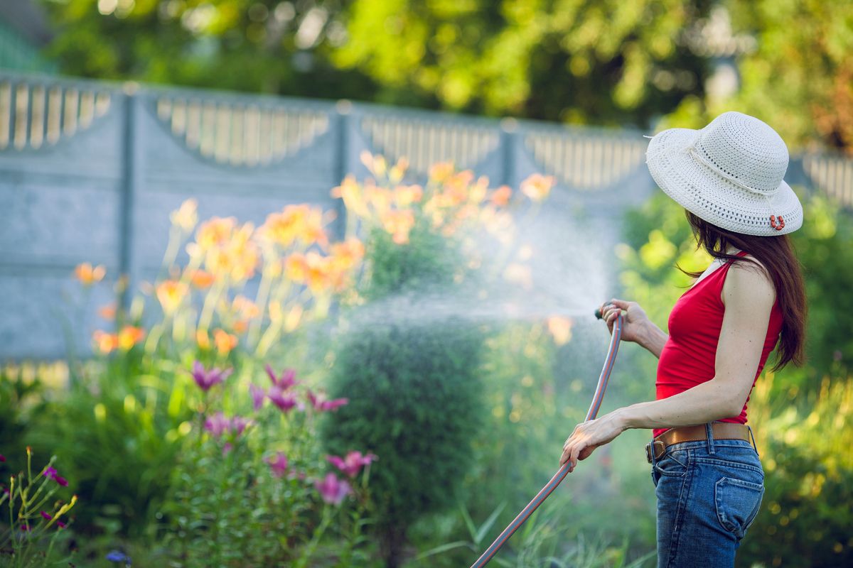 . Woman watering garden plants with hose pipe