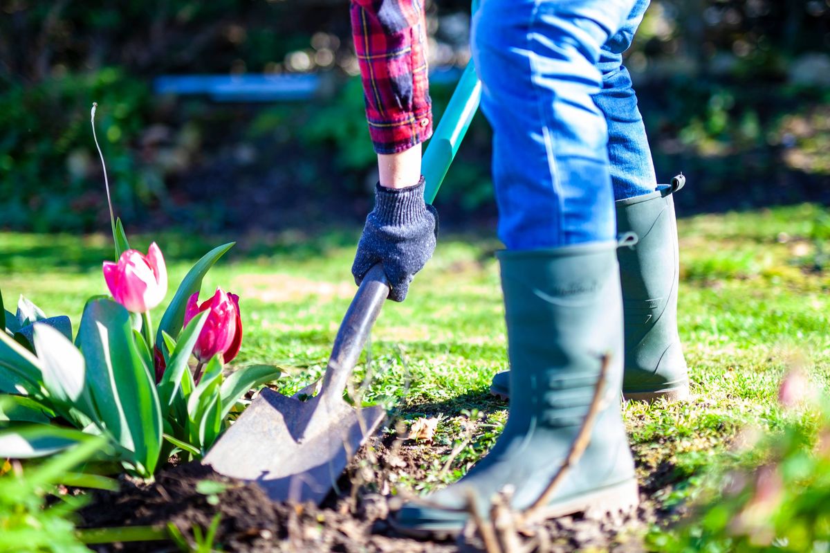Shovel going into ground