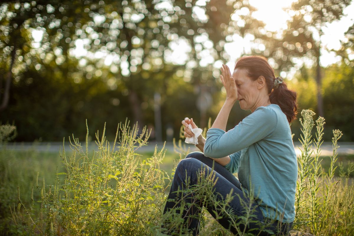 One mature woman in nature among ragweed plant suffering because she has a problem with pollen allergy at summer.