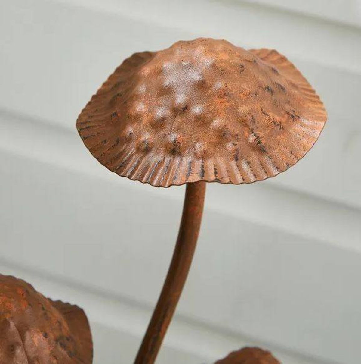 The decoration is popular with reviewers online