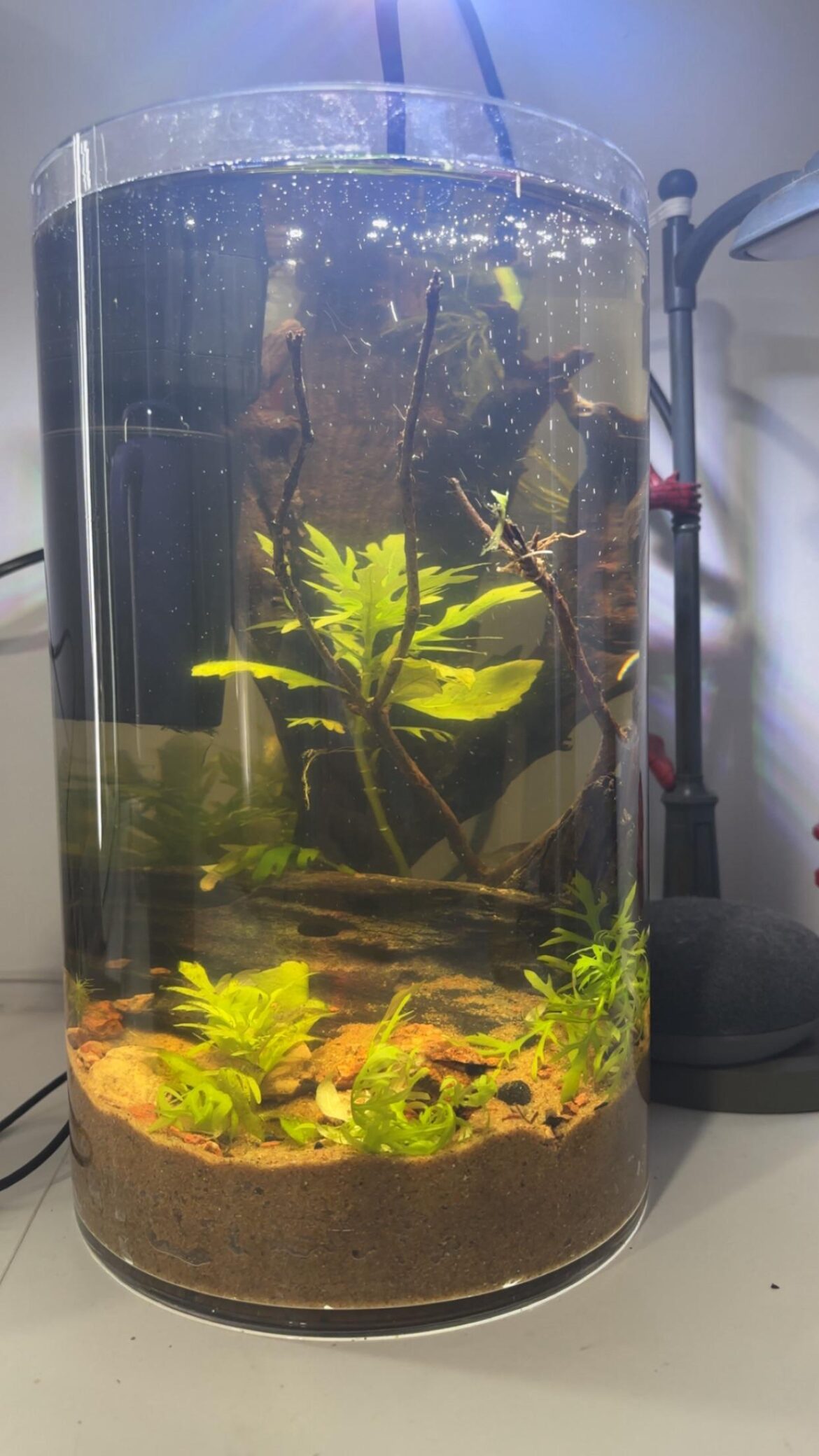 my boyfriends first “tank”, i love it!
