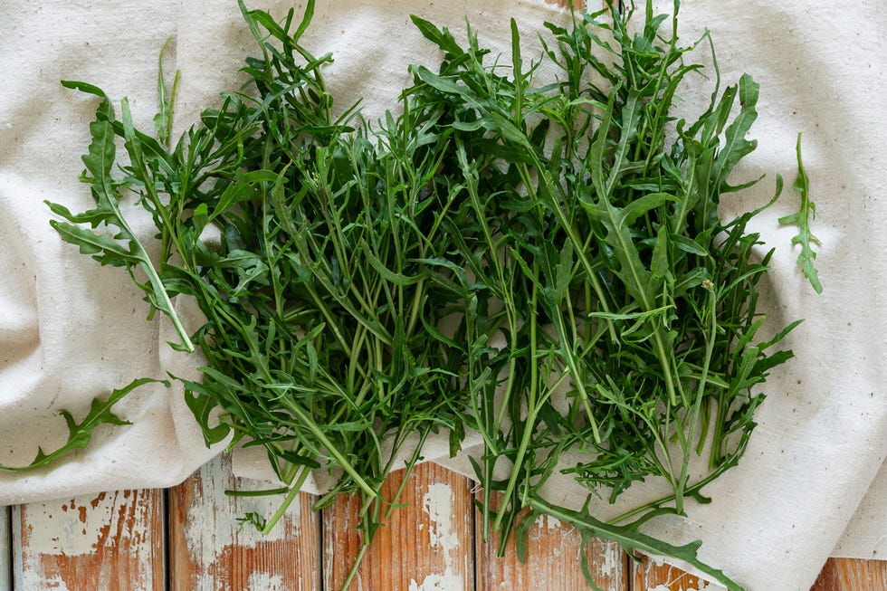 fast growing vegetables raw organic fresh rocket viewed from above