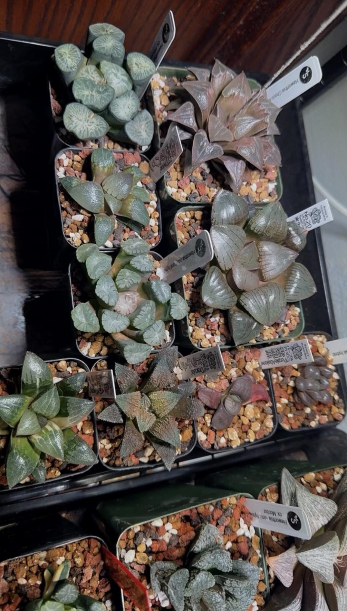 A few of my favorites