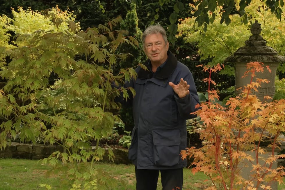 Alan Titchmarsh with Japanese maples alan titchmarsh with japanese maples in garden