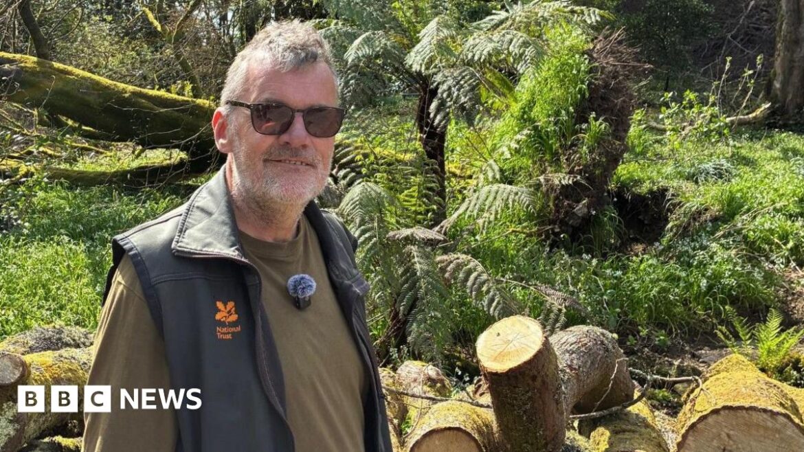 A man in National Trust branded gardening clothes smiles at the camera, behind him is a tree that was downed by Storm Goretti and parts of another tree cut up and ready to be taken away