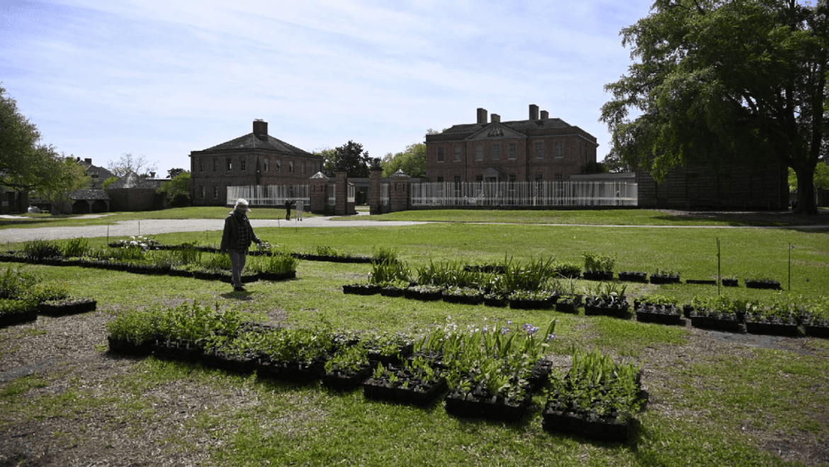 Tryon Palace welcomes spring with Garden Lovers’ Weekend and plant sale station icon