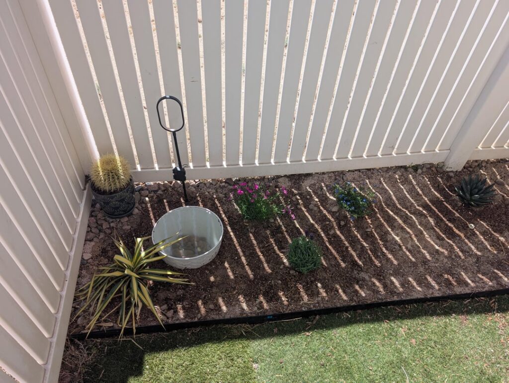 Working on a pollinator focused backyard xeriscape in NM on a budget. Working on a pollinator focused backyard xeriscape in NM on a budget.