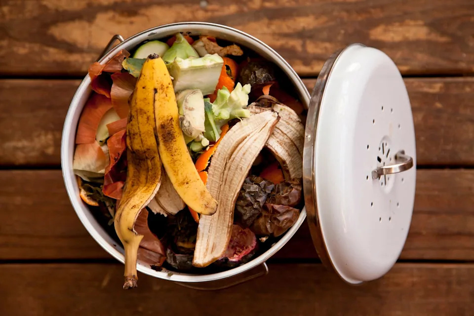 compost with vegetable scraps