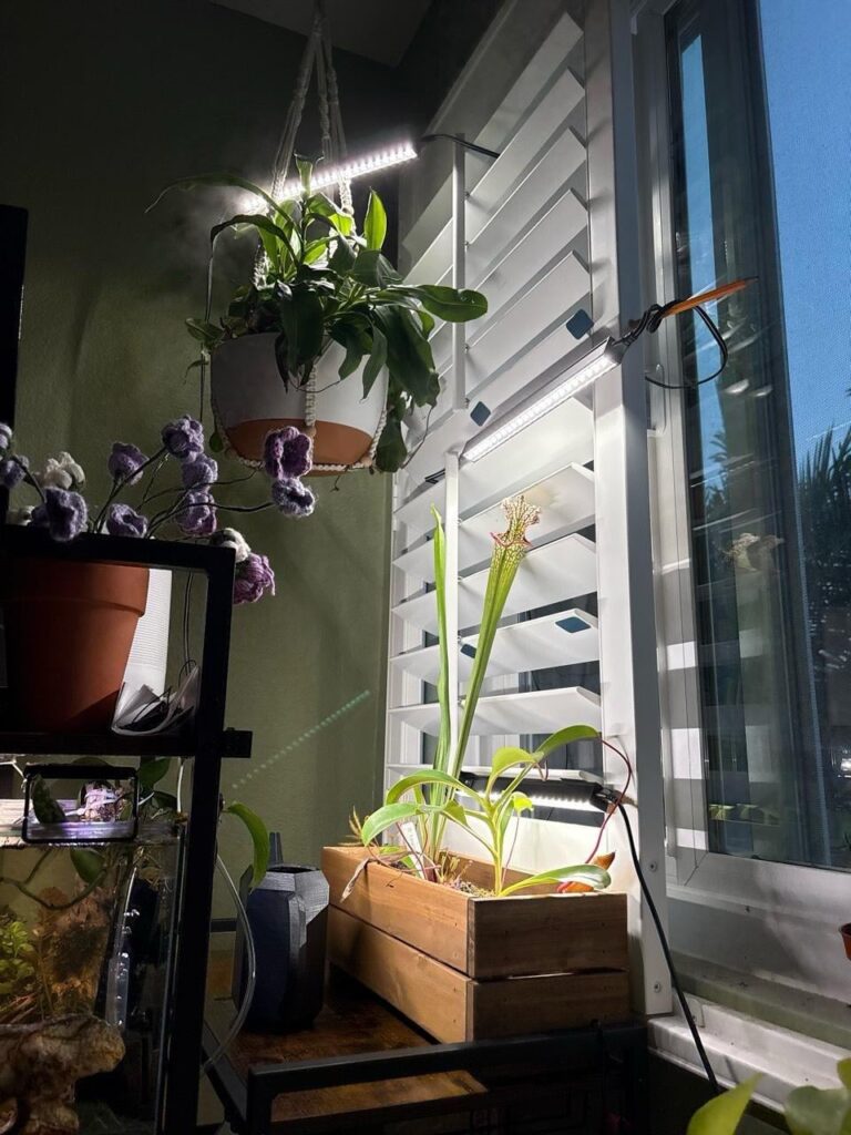 How does my plant collection look and any tips? Really new