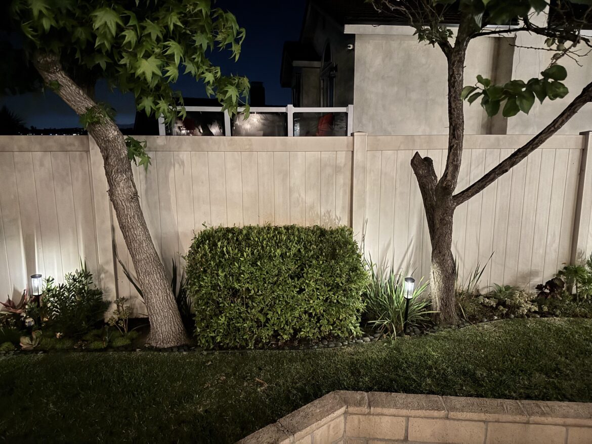 What should I put in place of the bushes