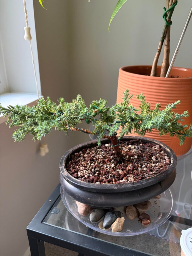 Newbie here!
