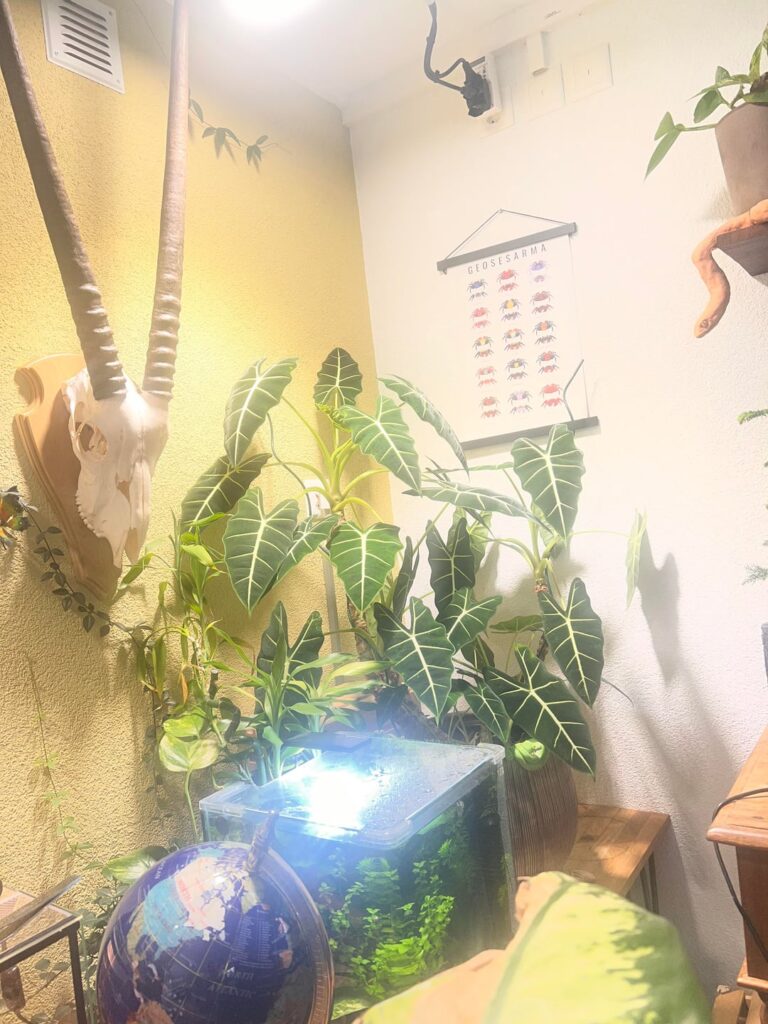 5 years of growth