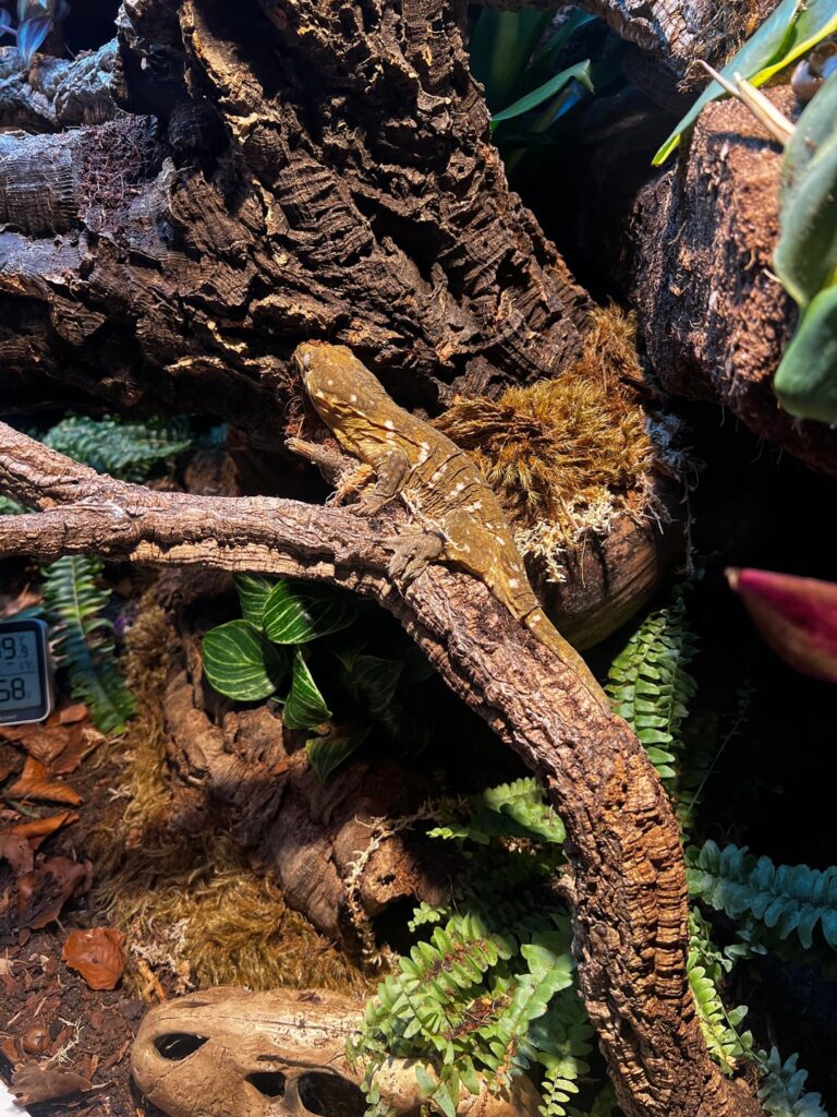 Leachie has officially moved in ๐ฆ Leachie has officially moved in ๐ฆ