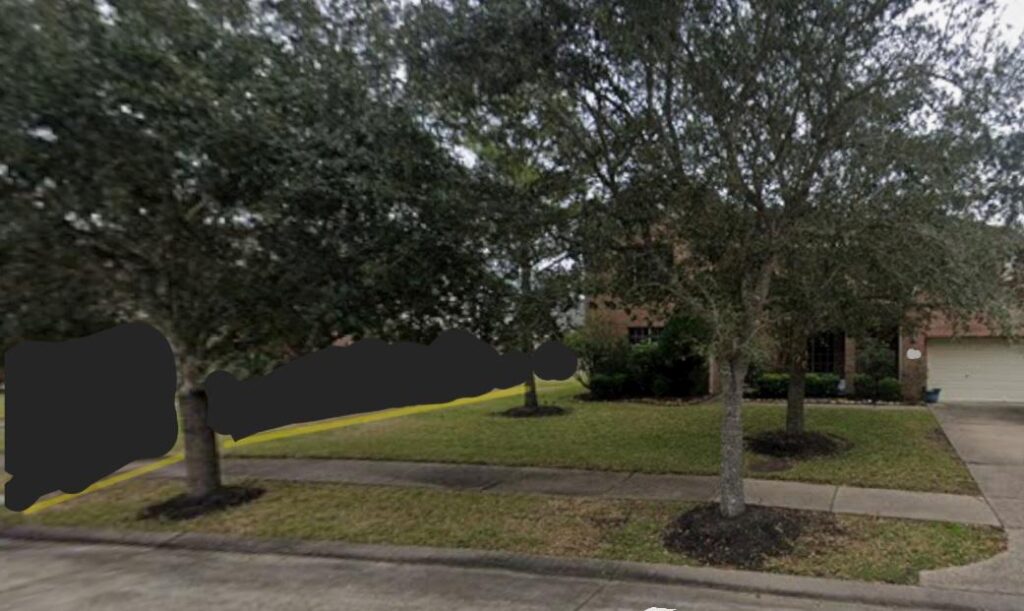 Ground Covering Under Live Oaks