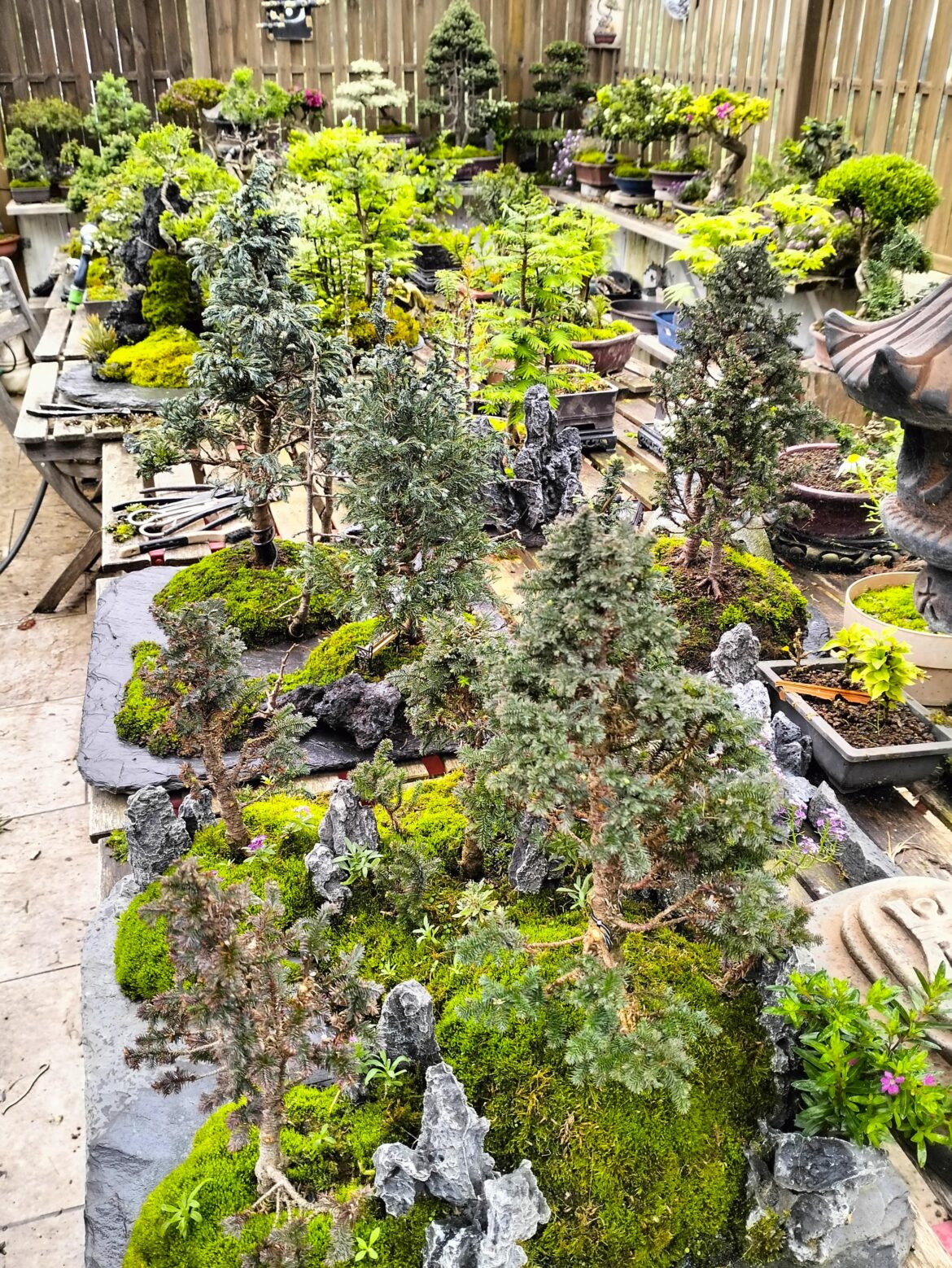 Forest garden