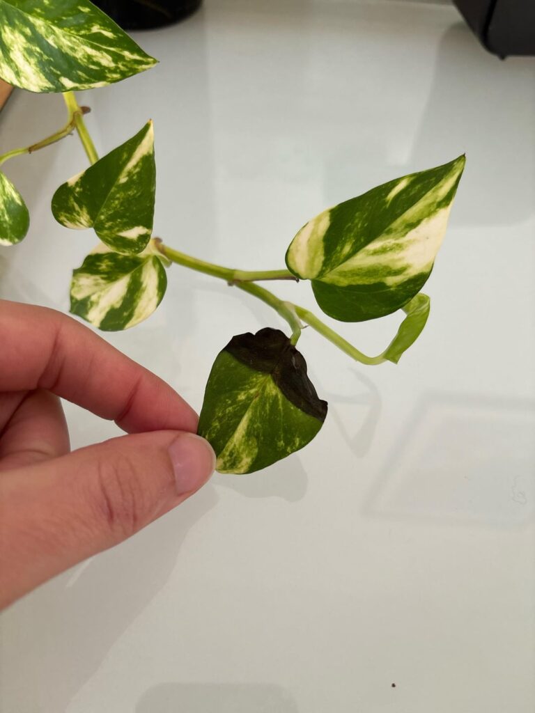 Any idea what is this and what to do?