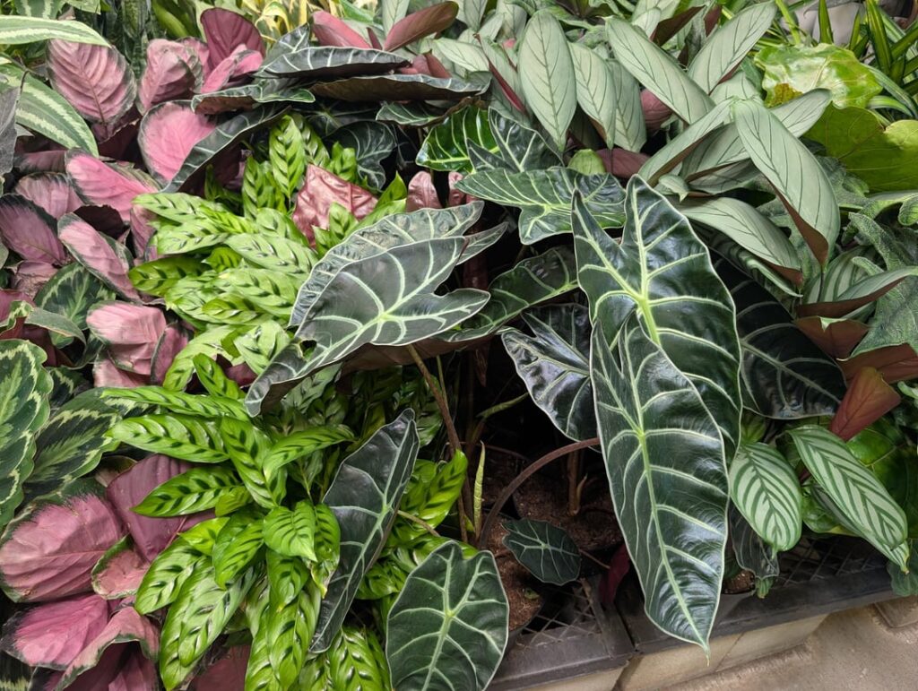 Today’s Lowe’s finds Today's Lowe's finds