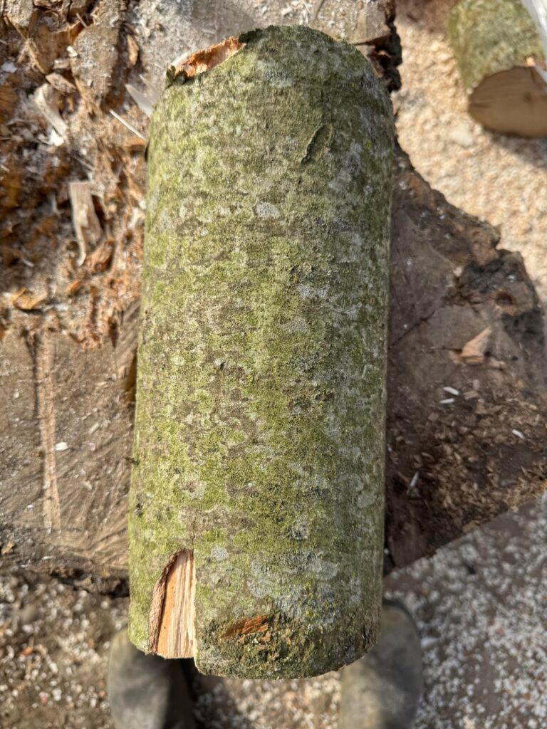 What wood is this?