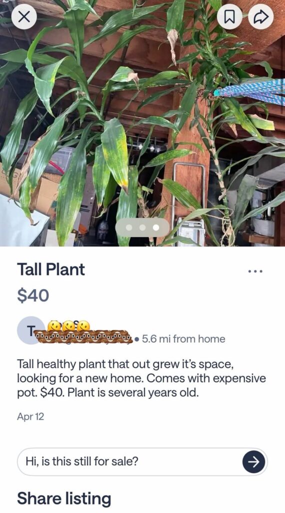 My sex dungeon tree no longer fiddles my diddle