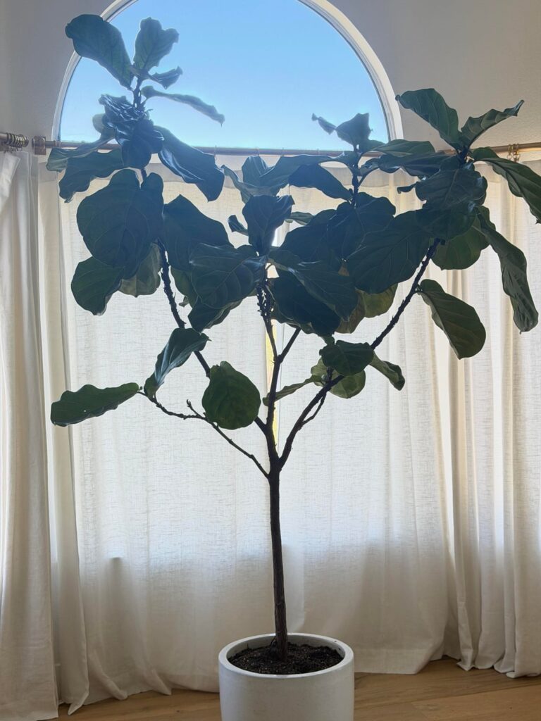 Need Help!