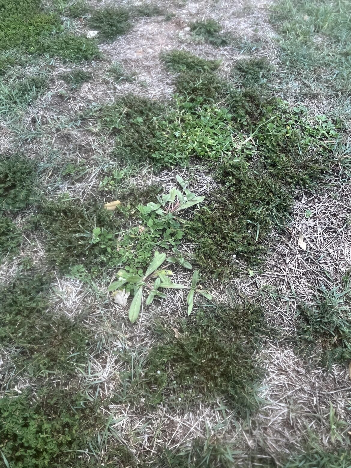 How do I get rid of this?