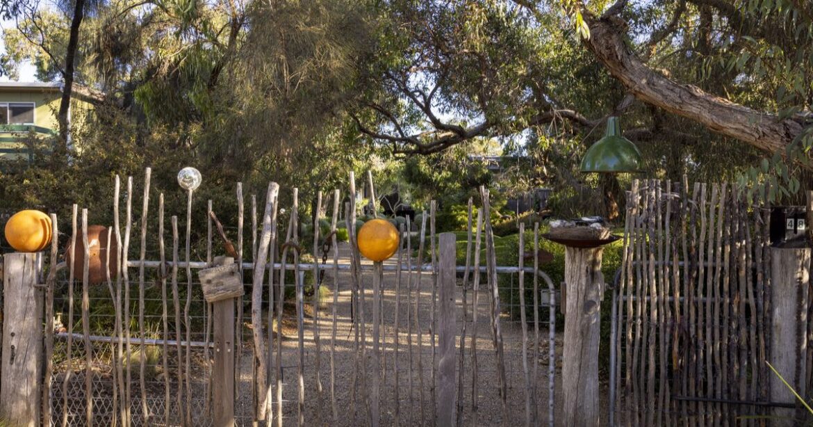 The garden that never stops growing Sunnymeade Anglesea Garden