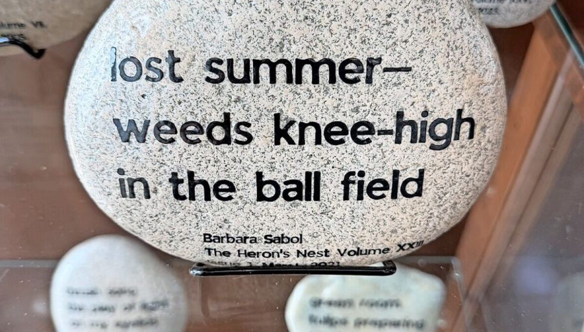 Dover Public Library to host Midwest haiku traveling rock garden in April