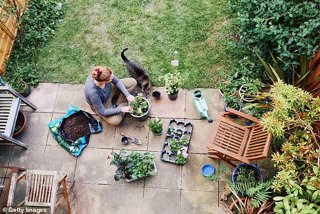 Edward Lee, gardening expert at Ryobi, agreed, saying April is 'arguably the point where your garden sets the tone for the entire year' (stock image)
